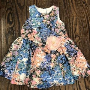 Beautiful floral dress 3t